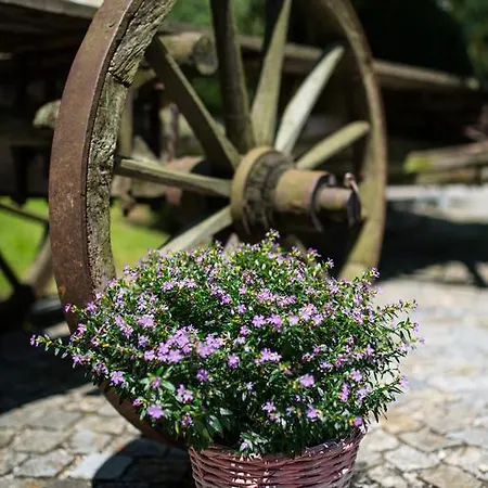 Schweiger's Landgasthof Guest house Wartenberg (Bavaria)