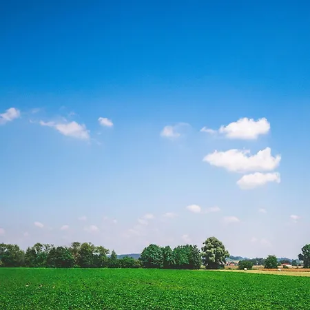 Gasthof Schweiger's Landgasthof 3*